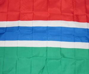 Flag of Gambia puzzle