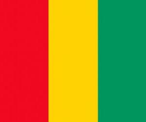 Flag of Guinea puzzle