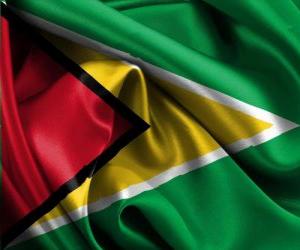 Flag of Guyana puzzle