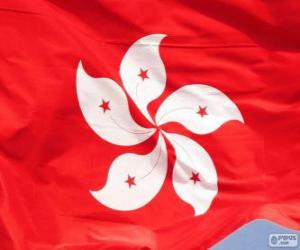 Flag of Hong Kong puzzle