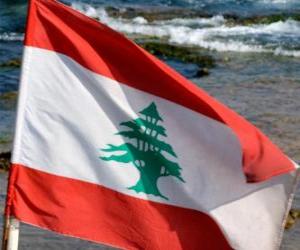 Flag of Lebanon puzzle