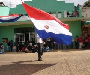 Flag of Paraguay puzzle