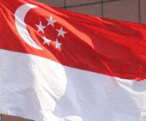 Flag of Singapore puzzle