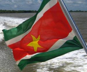 Flag of Suriname puzzle