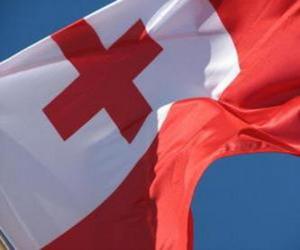 Flag of Tonga puzzle