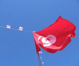 Flag of Tunisia puzzle
