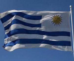 Flag of Uruguay puzzle