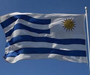 Flag of Uruguay puzzle