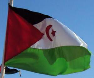 Flag of Western Sahara puzzle