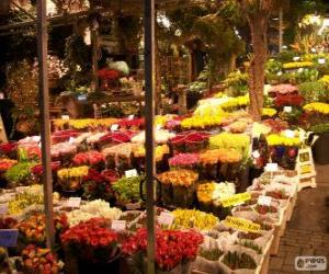 Flower market, Amsterdam, Netherlands puzzle