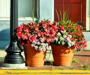 Flowers in a pot or flowerpot puzzle