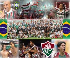 Fluminense Football Club Champion of the 2010 Brazilian Championship puzzle
