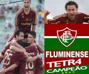 Fluminense Football Club Champion of the 2012 Brazilian Championship puzzle