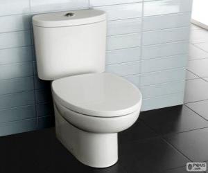 Flush toilet with close coupled cistern puzzle