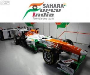 Force India VJM06 - 2013 - puzzle
