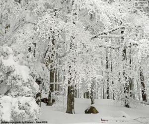 Forest completely snowed puzzle