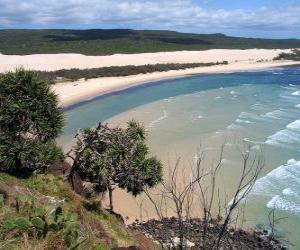 Fraser Island, the sandy island is 122 kilometers long and is the world's largest of its kind. Australia. puzzle