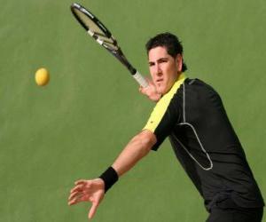 Frontenis player ready for a coup puzzle