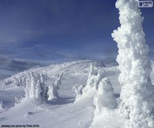 Frozen landscape puzzle