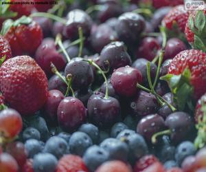 Fruits and berries puzzle