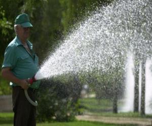 Gardener tending plants, watering puzzle