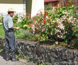 Gardener watering in spring puzzle