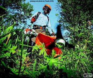 Gardener with a string trimmer puzzle