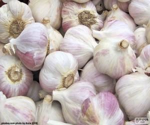 Garlic puzzle