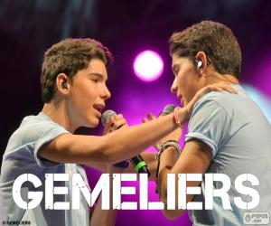 Gemeliers puzzle