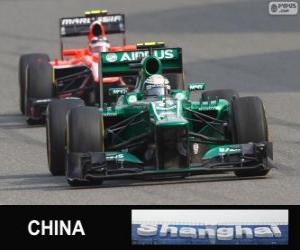 Giedo van der Garde - Caterham - Shanghai 2013 puzzle