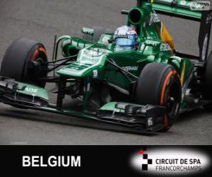 Giedo van der Garde - Caterham - Spa-Francorchamps, 2013 puzzle