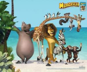 Gloria the Hippo, Melman the giraffe, Alex the lion, Marty the zebra with other protagonists of the adventures puzzle