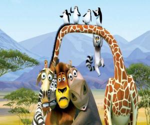 Gloria the Hippo, Melman the giraffe, Alex the lion, Marty the zebra with other protagonists of the adventures puzzle