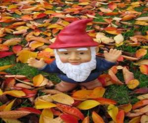 Gnome or dwarf puzzle