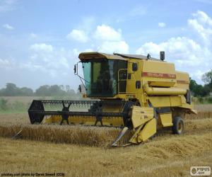 Grain combine harvester puzzle