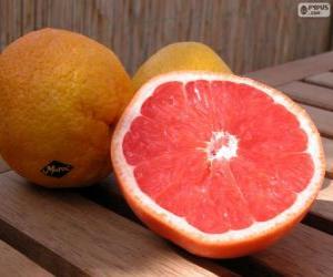 Grapefruit puzzle