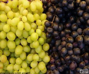 Grapes puzzle