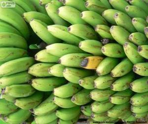 Green and yellow bananas puzzle