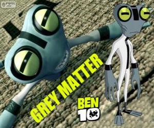 Grey Matter, Ben 10 puzzle