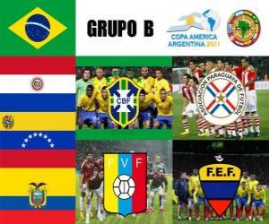 Group B, Argentina 2011 puzzle