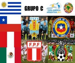 Group C, Argentina 2011 puzzle