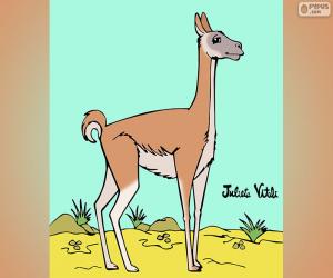 Guanaco, Julieta Vitali puzzle