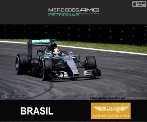 Hamilton, 2015 Brazilian Grand Prix puzzle