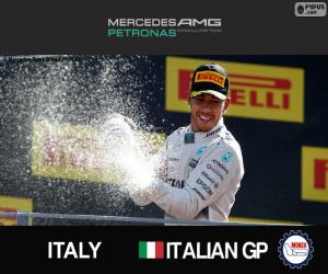 Hamilton, 2015 Italian Grand Prix puzzle