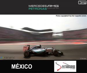 Hamilton, 2015 Mexican Grand Prix puzzle