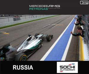 Hamilton, 2015 Russian Grand Prix puzzle