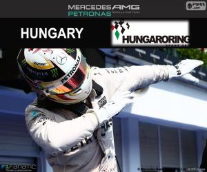 Hamilton 2016 Hungarian Grand Prix puzzle