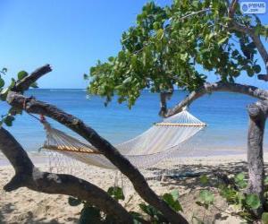 Hammock for the summer puzzle