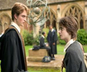 Harry Potter and his friend Cedric Diggory puzzle