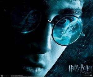 Harry Potter and the Half-Blood Prince puzzle